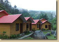 Camp Peach Valley