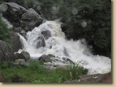 Chur Peak Trek